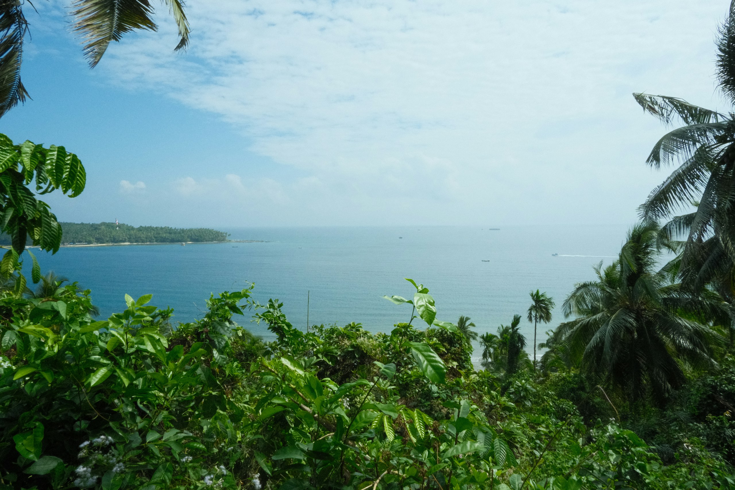 Tropical coast