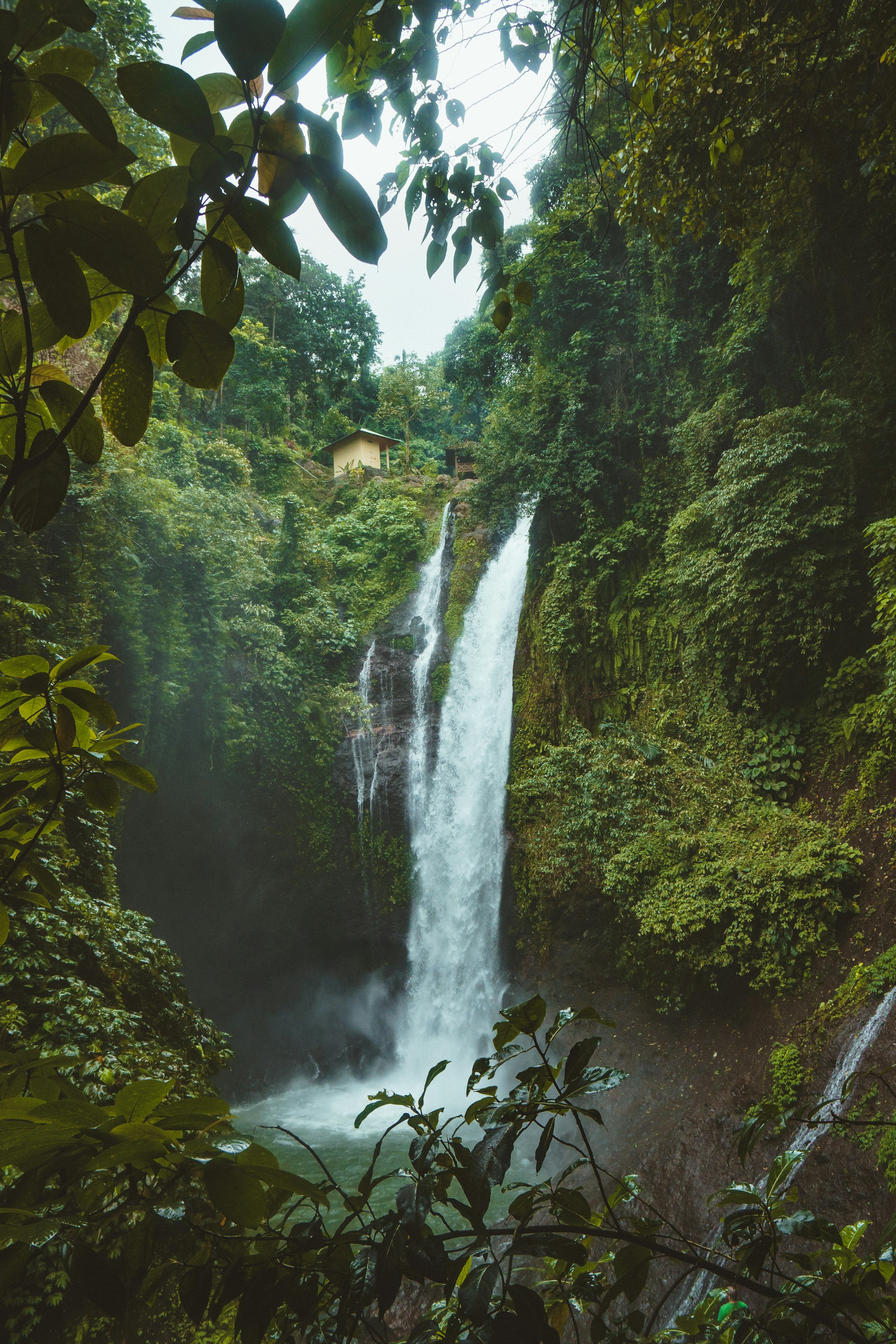 Jungle cascade