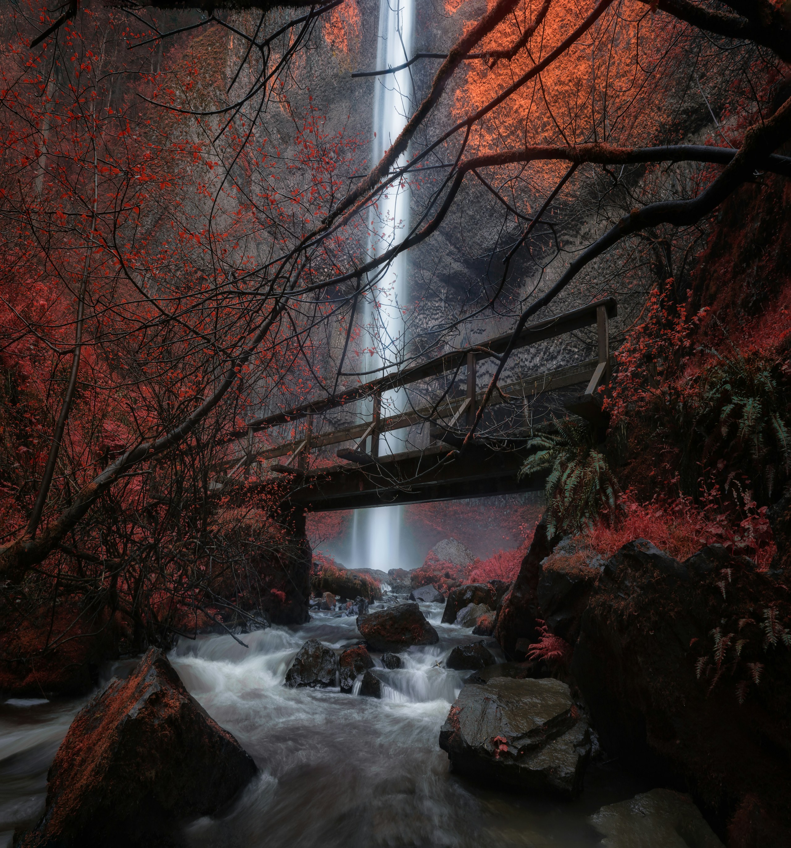 Autumn falls